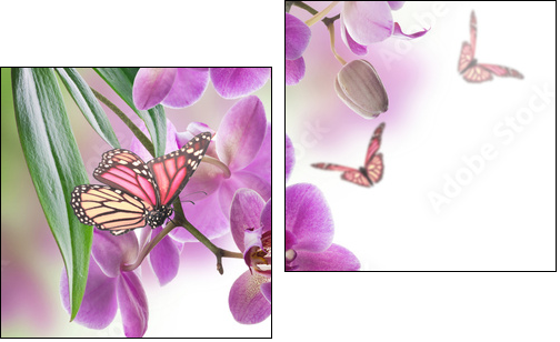 Floral background of tropical orchids and  butterfly - Two-piece canvas print, Diptych