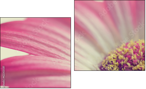 Macro of a pink summer daisy - Two-piece canvas print, Diptych