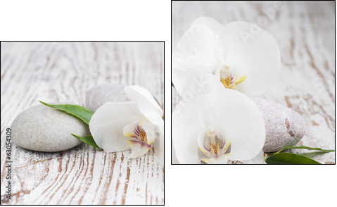 Orchids spa - Two-piece canvas print, Diptych