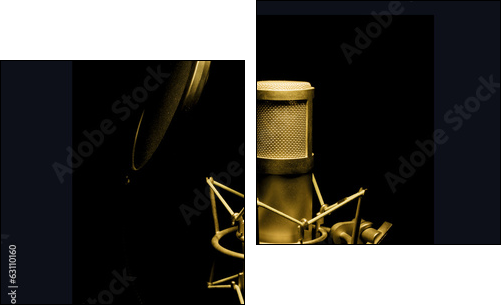 golden microphone isolated on black background - Two-piece canvas print, Diptych