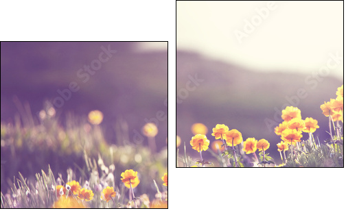 Sunny meadow - Two-piece canvas print, Diptych