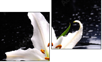 Macro of white lily with therapy stones - Two-piece canvas print, Diptych