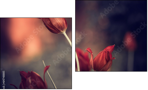 red garden tulips - Two-piece canvas print, Diptych