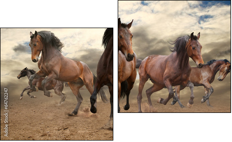 five indomitable bay horse galloping - Two-piece canvas print, Diptych
