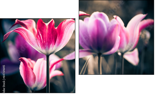 fresh spring garden flowers - Two-piece canvas print, Diptych
