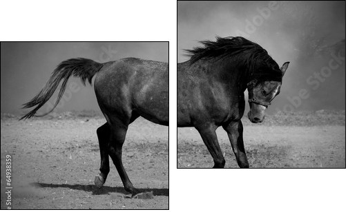 Galloping black horse - Two-piece canvas print, Diptych