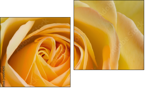 Close up image of orange and yellow rose - Two-piece canvas print, Diptych