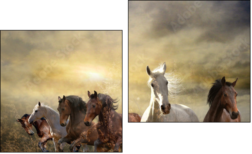 herd of horses galloping free at sunset - Two-piece canvas print, Diptych