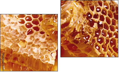 wax honeycombs with honey - close up - Two-piece canvas print, Diptych