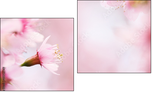 sakura cherry blossom flowers - Two-piece canvas print, Diptych