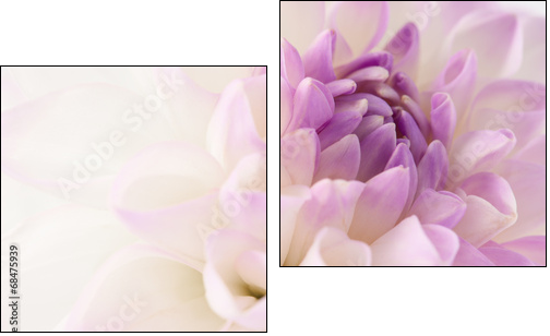 White dahlia close-up - Two-piece canvas print, Diptych