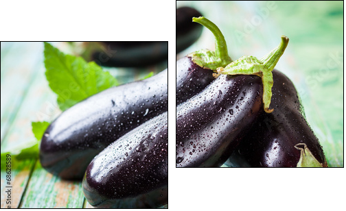 Eggplant - Two-piece canvas print, Diptych