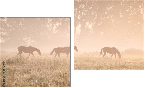 horses in sunshine and fog - Two-piece canvas print, Diptych