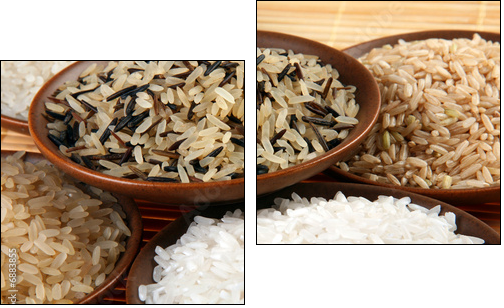 Rice set - Two-piece canvas print, Diptych