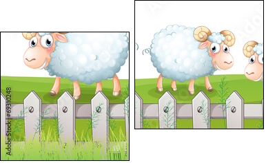 Three sheeps - Two-piece canvas print, Diptych
