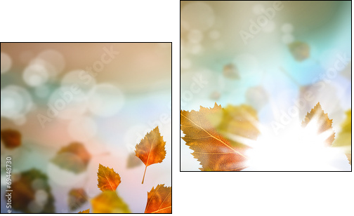 Autumn leaves - Two-piece canvas print, Diptych