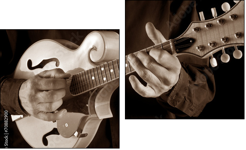 mandolin player,sepia image - Two-piece canvas print, Diptych