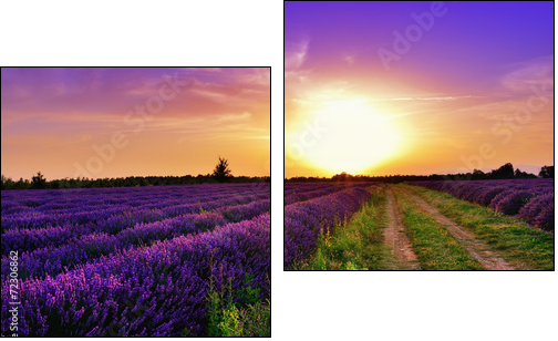 Lavender field - Two-piece canvas print, Diptych