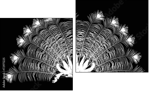 peacock feather fan silhouette on black - Two-piece canvas print, Diptych