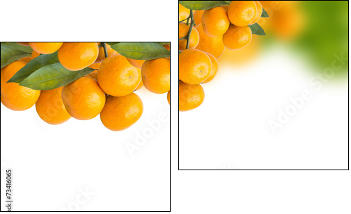 tangerine trees - Two-piece canvas print, Diptych