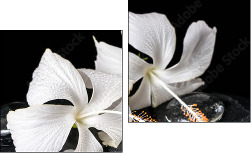 Beautiful cryogenic spa concept of delicate white hibiscus, zen - Two-piece canvas print, Diptych