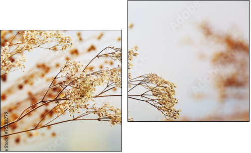 Dried flowers background - Two-piece canvas print, Diptych