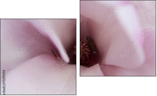 Magnolia inside - Two-piece canvas print, Diptych