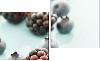 fresh berries - Two-piece canvas print, Diptych