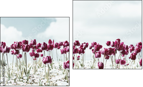 Retro Photo Of Tulip Garden In Spring - Two-piece canvas print, Diptych