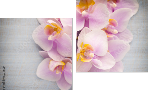 Orchid. - Two-piece canvas print, Diptych