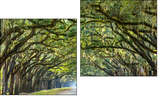 Country Road Lined with Oaks in Savannah, Georgia - Two-piece canvas print, Diptych