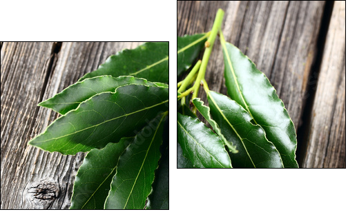 Laurel leaves on a wooden background - Two-piece canvas print, Diptych