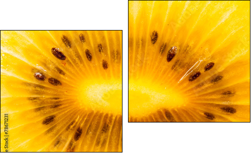 Yellow kiwi fruit on a white background - Two-piece canvas print, Diptych