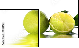 green lime - Two-piece canvas print, Diptych