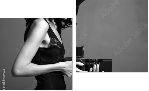Fashion portrait of young photographing lady - Two-piece canvas print, Diptych