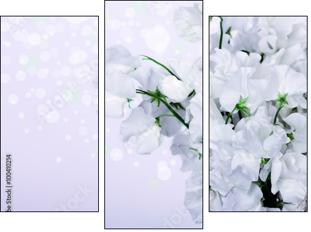 Beautiful Lily Flowers Border - Three-piece canvas print, Triptych