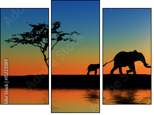 Family of elephants. - Three-piece canvas print, Triptych