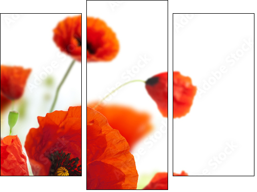 floral design, decoration flowers, poppies border - corner - Three-piece canvas print, Triptych