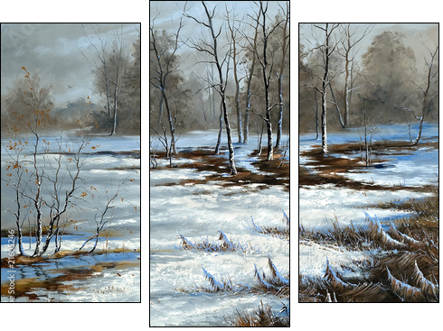 Bog cloudy, winter day - Three-piece canvas print, Triptych