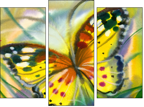 butterfly - Three-piece canvas print, Triptych