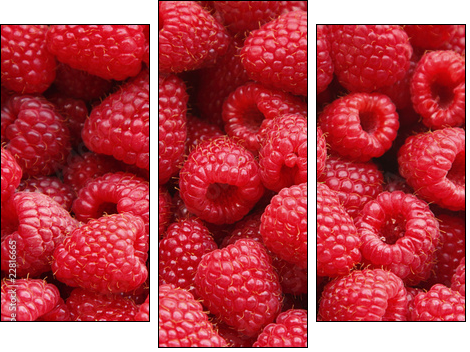 Sweet raspberry - Three-piece canvas print, Triptych