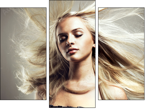 Beautiful woman with magnificent hair - Three-piece canvas print, Triptych