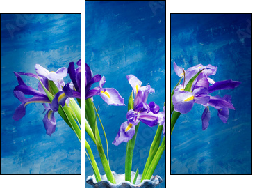 irises - Three-piece canvas print, Triptych