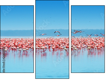 African flamingos - Three-piece canvas print, Triptych