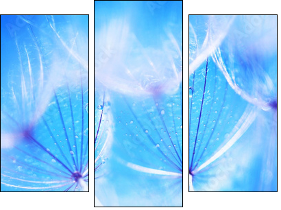 Soft dandelion flowers - Three-piece canvas print, Triptych