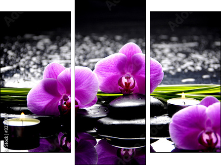 Spa still life with set of pink orchid and stones reflection - Three-piece canvas print, Triptych