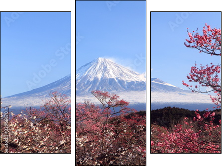 Mt. Fuji with Japanese Plum Blossoms - Three-piece canvas print, Triptych