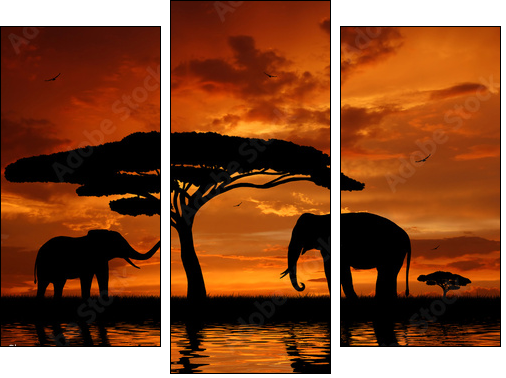 Silhouette two elephants in the sunset - Three-piece canvas print, Triptych