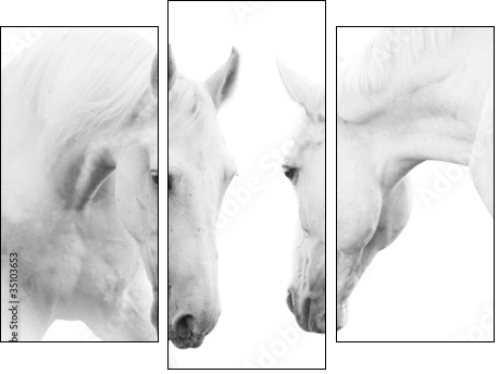white horses - Three-piece canvas print, Triptych