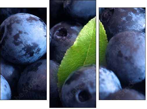 Macro shot of wet fresh blueberry - Three-piece canvas print, Triptych